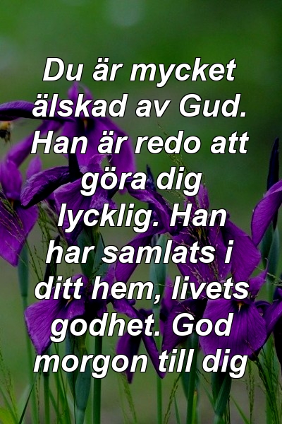 Du är mycket älskad av Gud. Han är redo att göra dig lycklig. Han har samlats i ditt hem, livets godhet. God morgon till dig