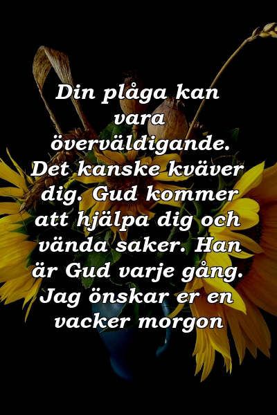 Din plåga kan vara överväldigande. Det kanske kväver dig. Gud kommer att hjälpa dig och vända saker. Han är Gud varje gång. Jag önskar er en vacker morgon