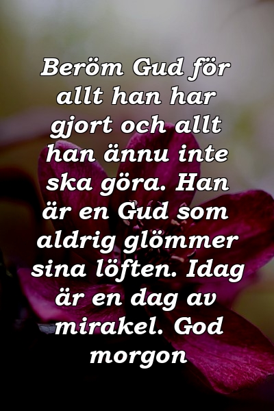 Beröm Gud för allt han har gjort och allt han ännu inte ska göra. Han är en Gud som aldrig glömmer sina löften. Idag är en dag av mirakel. God morgon