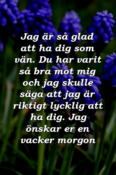 Jag är så glad att ha dig som vän. Du har varit så bra mot mig och jag skulle säga att jag är riktigt lycklig att ha dig. Jag önskar er en vacker morgon