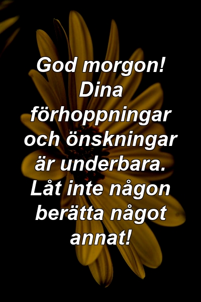 God morgon! Dina förhoppningar och önskningar är underbara. Låt inte någon berätta något annat!