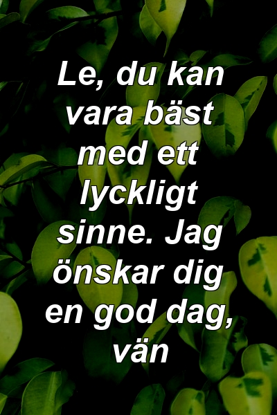 Le, du kan vara bäst med ett lyckligt sinne. Jag önskar dig en god dag, vän