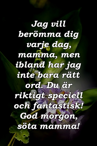 Jag vill berömma dig varje dag, mamma, men ibland har jag inte bara rätt ord. Du är riktigt speciell och fantastisk! God morgon, söta mamma!