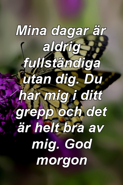 Mina dagar är aldrig fullständiga utan dig. Du har mig i ditt grepp och det är helt bra av mig. God morgon