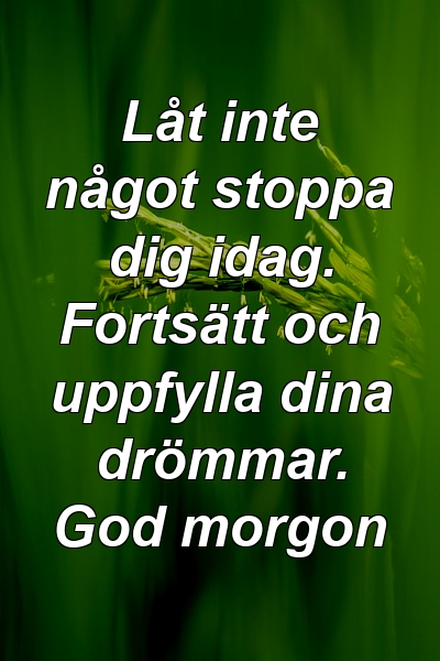 Låt inte något stoppa dig idag. Fortsätt och uppfylla dina drömmar. God morgon