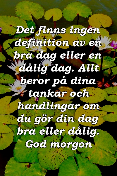 Det finns ingen definition av en bra dag eller en dålig dag. Allt beror på dina tankar och handlingar om du gör din dag bra eller dålig. God morgon