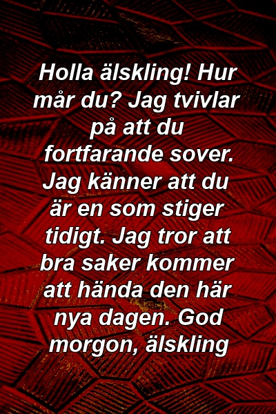 Holla älskling! Hur mår du? Jag tvivlar på att du fortfarande sover. Jag känner att du är en som stiger tidigt. Jag tror att bra saker kommer att hända den här nya dagen. God morgon, älskling