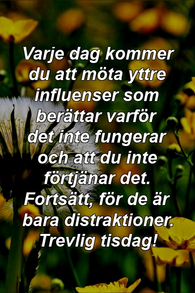 Varje dag kommer du att möta yttre influenser som berättar varför det inte fungerar och att du inte förtjänar det. Fortsätt, för de är bara distraktioner. Trevlig tisdag!