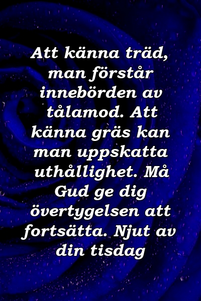 Att känna träd, man förstår innebörden av tålamod. Att känna gräs kan man uppskatta uthållighet. Må Gud ge dig övertygelsen att fortsätta. Njut av din tisdag