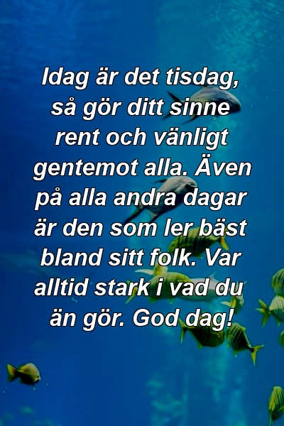 Idag är det tisdag, så gör ditt sinne rent och vänligt gentemot alla. Även på alla andra dagar är den som ler bäst bland sitt folk. Var alltid stark i vad du än gör. God dag!