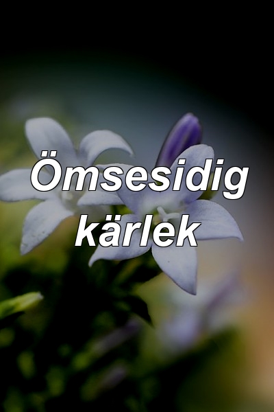 Ömsesidig kärlek