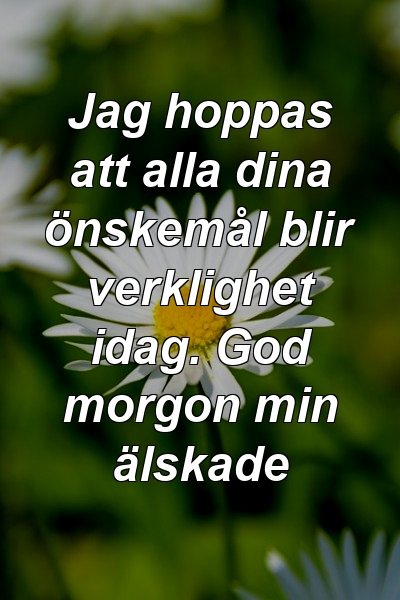 Jag hoppas att alla dina önskemål blir verklighet idag. God morgon min älskade