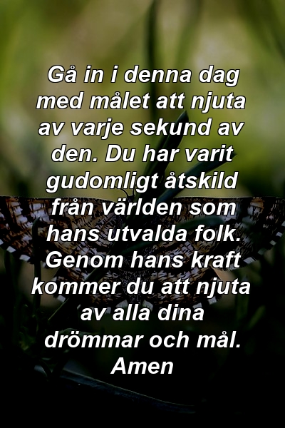 Gå in i denna dag med målet att njuta av varje sekund av den. Du har varit gudomligt åtskild från världen som hans utvalda folk. Genom hans kraft kommer du att njuta av alla dina drömmar och mål. Amen