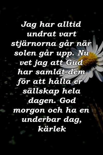 Jag har alltid undrat vart stjärnorna går när solen går upp. Nu vet jag att Gud har samlat dem för att hålla er sällskap hela dagen. God morgon och ha en underbar dag, kärlek