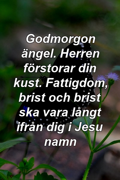 Godmorgon ängel. Herren förstorar din kust. Fattigdom, brist och brist ska vara långt ifrån dig i Jesu namn