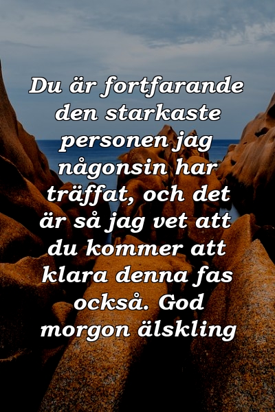 Du är fortfarande den starkaste personen jag någonsin har träffat, och det är så jag vet att du kommer att klara denna fas också. God morgon älskling