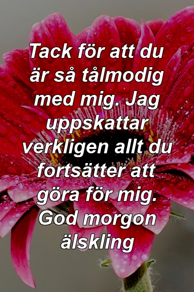 Tack för att du är så tålmodig med mig. Jag uppskattar verkligen allt du fortsätter att göra för mig. God morgon älskling