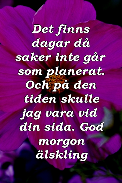 Det finns dagar då saker inte går som planerat. Och på den tiden skulle jag vara vid din sida. God morgon älskling