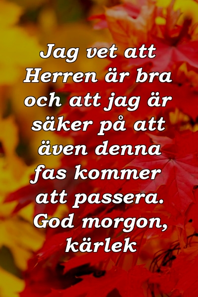 Jag vet att Herren är bra och att jag är säker på att även denna fas kommer att passera. God morgon, kärlek