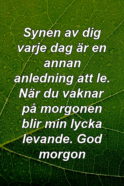 Synen av dig varje dag är en annan anledning att le. När du vaknar på morgonen blir min lycka levande. God morgon