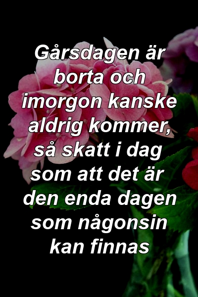 Gårsdagen är borta och imorgon kanske aldrig kommer, så skatt i dag som att det är den enda dagen som någonsin kan finnas