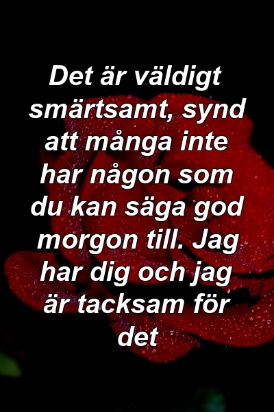 Det är väldigt smärtsamt, synd att många inte har någon som du kan säga god morgon till. Jag har dig och jag är tacksam för det