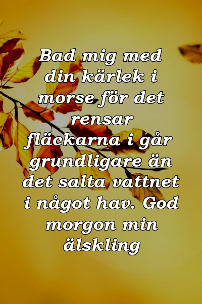 Bad mig med din kärlek i morse för det rensar fläckarna i går grundligare än det salta vattnet i något hav. God morgon min älskling