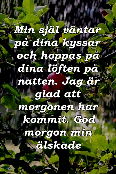 Min själ väntar på dina kyssar och hoppas på dina löften på natten. Jag är glad att morgonen har kommit. God morgon min älskade