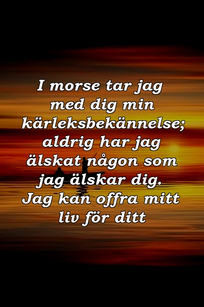 I morse tar jag med dig min kärleksbekännelse; aldrig har jag älskat någon som jag älskar dig. Jag kan offra mitt liv för ditt