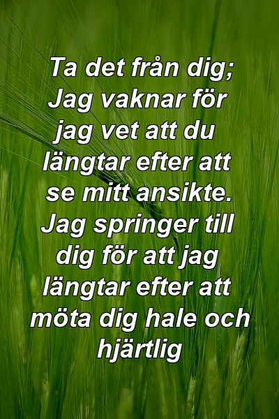 Ta det från dig; Jag vaknar för jag vet att du längtar efter att se mitt ansikte. Jag springer till dig för att jag längtar efter att möta dig hale och hjärtlig