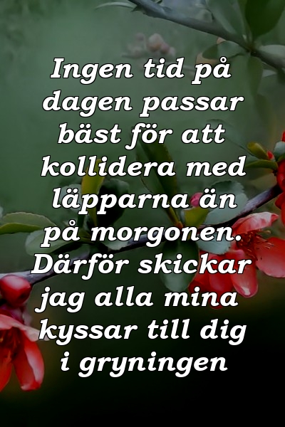 Ingen tid på dagen passar bäst för att kollidera med läpparna än på morgonen. Därför skickar jag alla mina kyssar till dig i gryningen