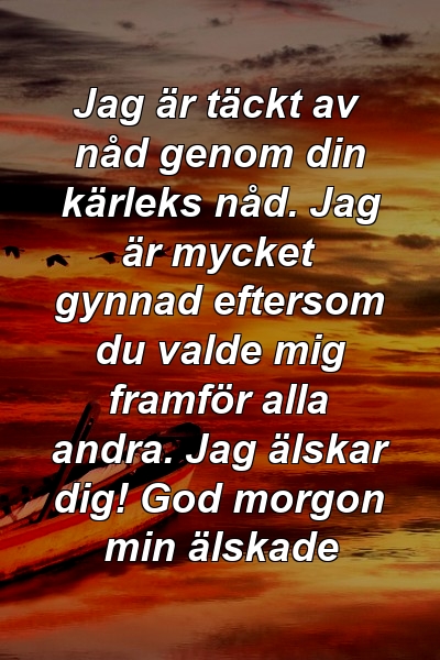 Jag är täckt av nåd genom din kärleks nåd. Jag är mycket gynnad eftersom du valde mig framför alla andra. Jag älskar dig! God morgon min älskade