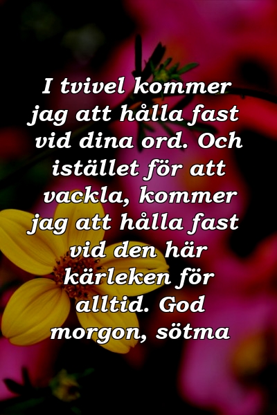 I tvivel kommer jag att hålla fast vid dina ord. Och istället för att vackla, kommer jag att hålla fast vid den här kärleken för alltid. God morgon, sötma