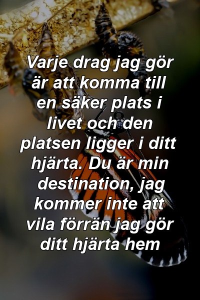 Varje drag jag gör är att komma till en säker plats i livet och den platsen ligger i ditt hjärta. Du är min destination, jag kommer inte att vila förrän jag gör ditt hjärta hem