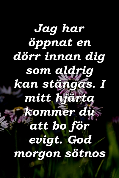 Jag har öppnat en dörr innan dig som aldrig kan stängas. I mitt hjärta kommer du att bo för evigt. God morgon sötnos