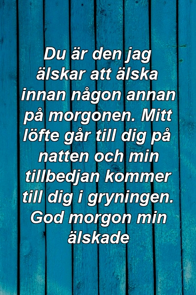 Du är den jag älskar att älska innan någon annan på morgonen. Mitt löfte går till dig på natten och min tillbedjan kommer till dig i gryningen. God morgon min älskade