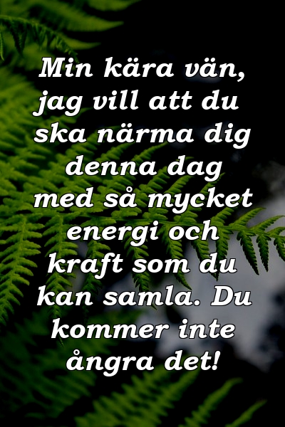 Min kära vän, jag vill att du ska närma dig denna dag med så mycket energi och kraft som du kan samla. Du kommer inte ångra det!