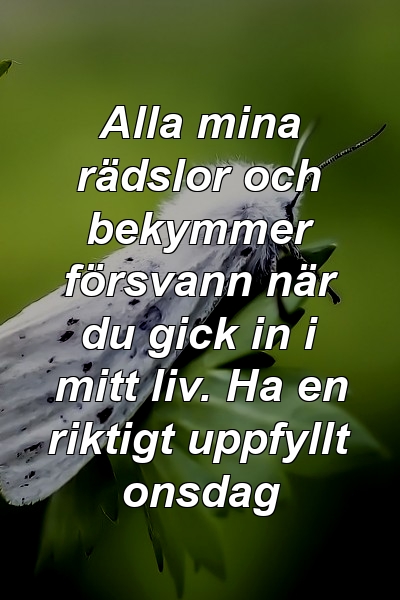 Alla mina rädslor och bekymmer försvann när du gick in i mitt liv. Ha en riktigt uppfyllt onsdag