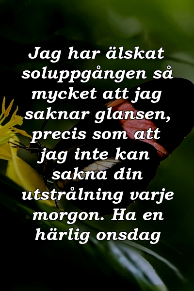 Jag har älskat soluppgången så mycket att jag saknar glansen, precis som att jag inte kan sakna din utstrålning varje morgon. Ha en härlig onsdag