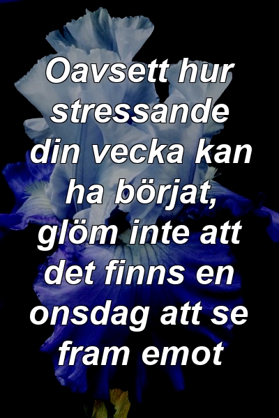 Oavsett hur stressande din vecka kan ha börjat, glöm inte att det finns en onsdag att se fram emot