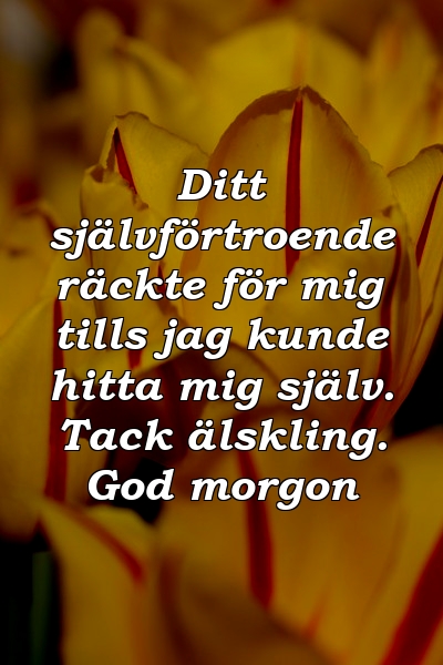 Ditt självförtroende räckte för mig tills jag kunde hitta mig själv. Tack älskling. God morgon