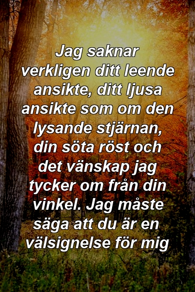 Jag saknar verkligen ditt leende ansikte, ditt ljusa ansikte som om den lysande stjärnan, din söta röst och det vänskap jag tycker om från din vinkel. Jag måste säga att du är en välsignelse för mig