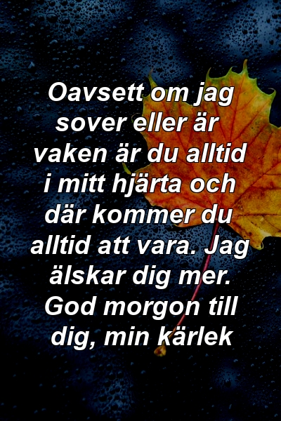 Oavsett om jag sover eller är vaken är du alltid i mitt hjärta och där kommer du alltid att vara. Jag älskar dig mer. God morgon till dig, min kärlek