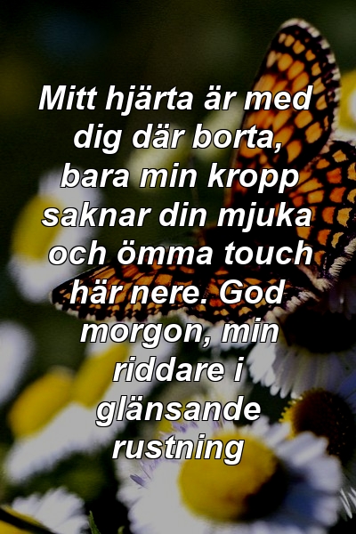 Mitt hjärta är med dig där borta, bara min kropp saknar din mjuka och ömma touch här nere. God morgon, min riddare i glänsande rustning