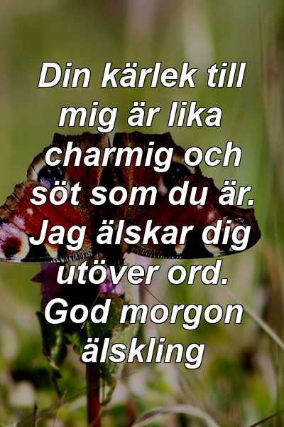 Din kärlek till mig är lika charmig och söt som du är. Jag älskar dig utöver ord. God morgon älskling