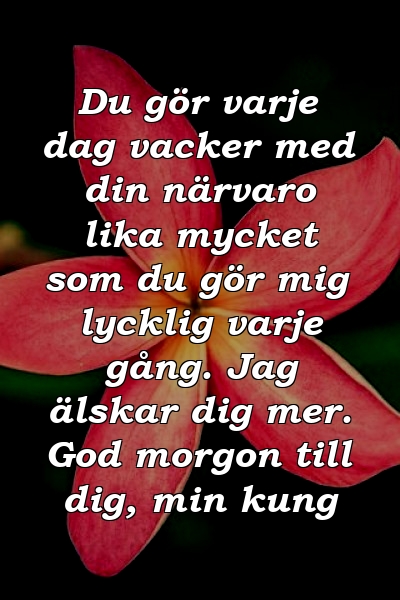 Du gör varje dag vacker med din närvaro lika mycket som du gör mig lycklig varje gång. Jag älskar dig mer. God morgon till dig, min kung