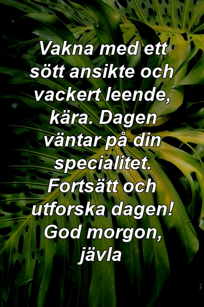 Vakna med ett sött ansikte och vackert leende, kära. Dagen väntar på din specialitet. Fortsätt och utforska dagen! God morgon, jävla