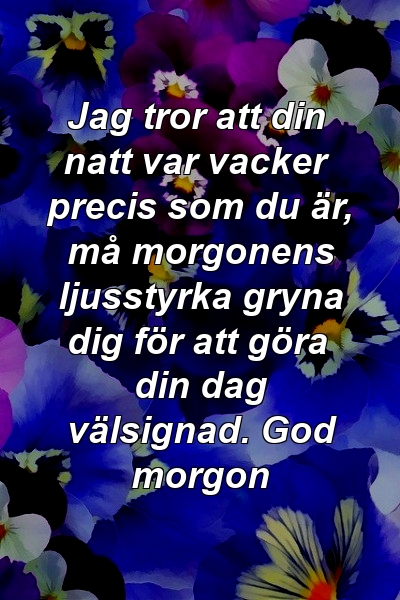 Jag tror att din natt var vacker precis som du är, må morgonens ljusstyrka gryna dig för att göra din dag välsignad. God morgon