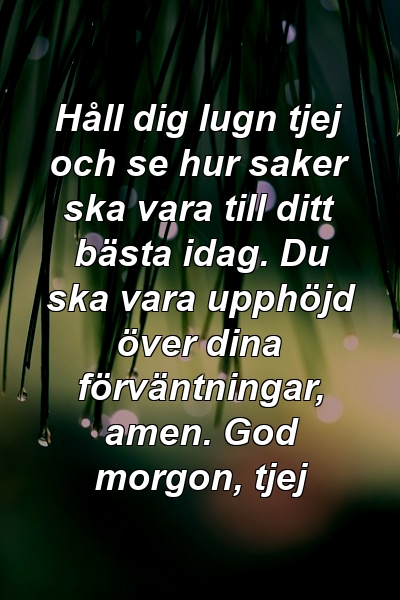 Håll dig lugn tjej och se hur saker ska vara till ditt bästa idag. Du ska vara upphöjd över dina förväntningar, amen. God morgon, tjej