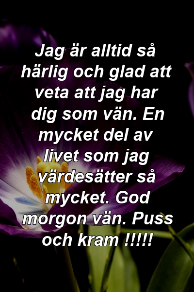 Jag är alltid så härlig och glad att veta att jag har dig som vän. En mycket del av livet som jag värdesätter så mycket. God morgon vän. Puss och kram !!!!!